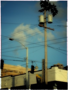 Digital Polaroid Transfer 1